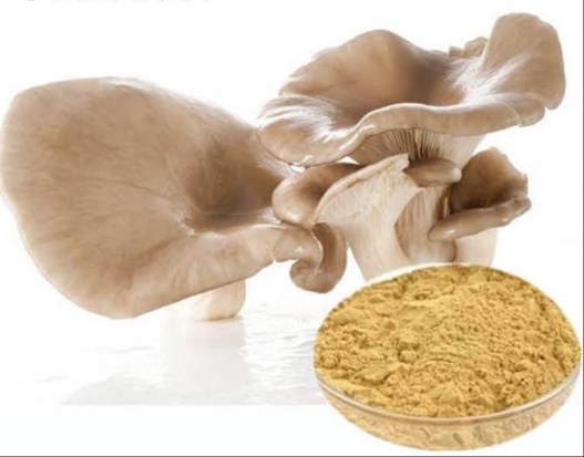 Common Oyster Mushroom Powder, for Human Consumption, Animal Feed, Food Industry, Packaging Type : PP Bag