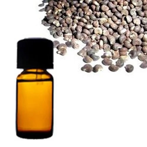 Ambrette Seed Essential Oil, for Medicines, Packaging Size : 100ml, 200ml, 250ml