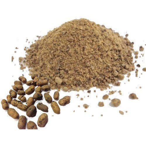 Jamun seed powder, Style : Dried