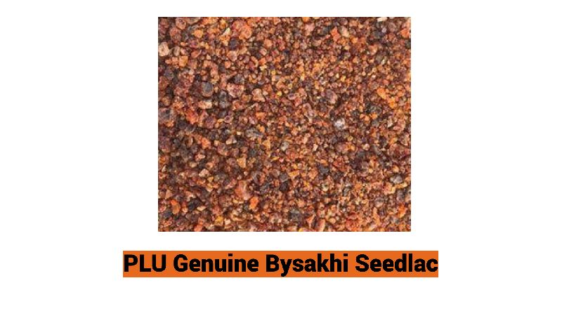 Genuine Bysakhi Seedlac, for Wood Polish