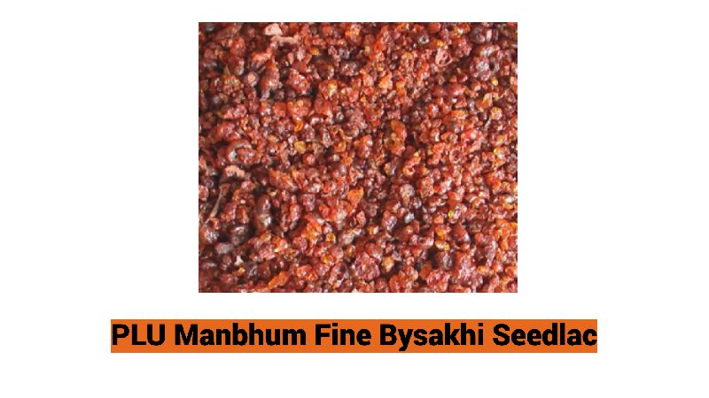 Manbhum Fine Bysakhi Seedlac, Purity : 100%