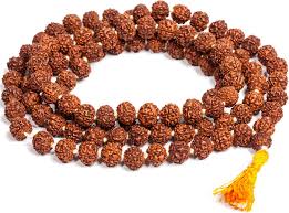 Natural Wood Beads Rudraksha Mala, for Religious, Variety : 1-5Mukhi, 5-10Mukhi