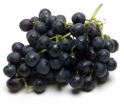 fresh black grapes