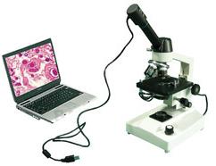 Usb Microscope Camera