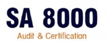 SA 8000 Consultant in Bhadohi .