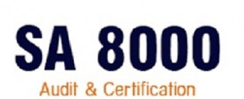 SA 8000 Consultants in Faridabad.