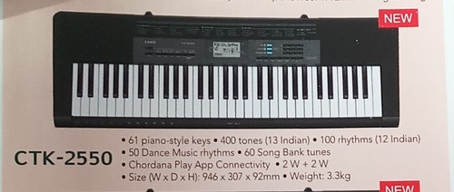 Casio Musical Keyboard