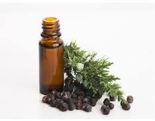 Juniper Berry Oil, for Flavours, perfumary liquors, etc