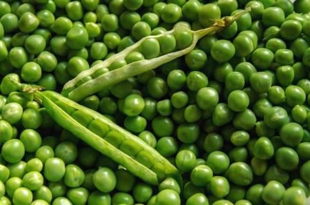 Organic Fresh Peas
