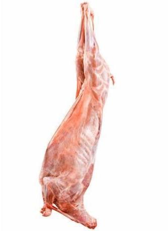 Frozen sheep carcass, for Hotel, Restaurant, Etc., Packaging Type : Disposable Box, Plastic Packet