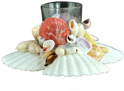 Seashell Pen stand, Color : Off-white