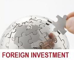 Foreign Investment Services