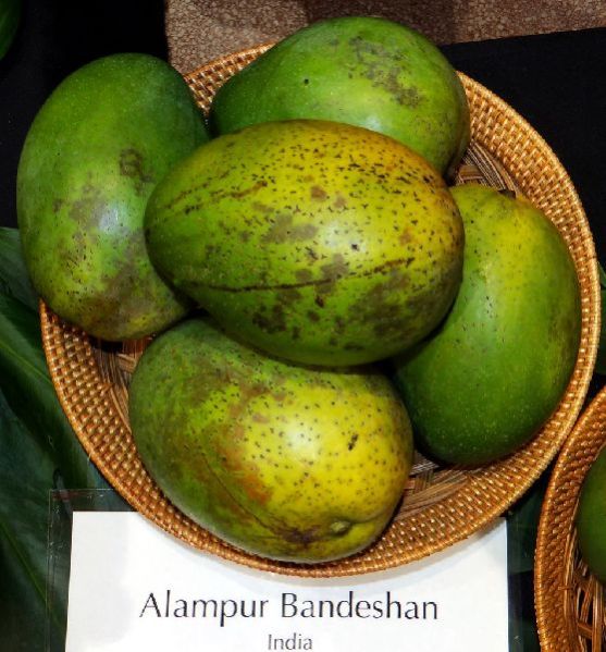 Fresh Baneshan Mango