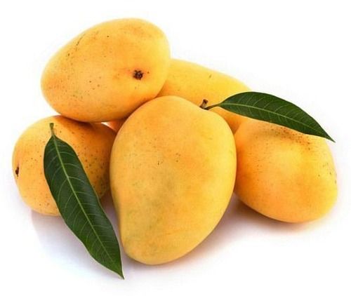 Fresh Yellow Mango