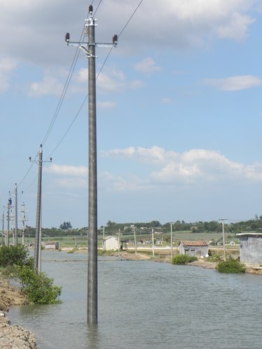 Light Utility Pole