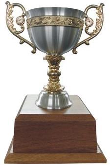 JBH Creations Metal sports cup trophies, Color : Silver