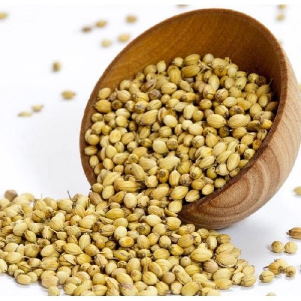 Organic coriander seeds, for Cooking, Packaging Type : Plastic Packets