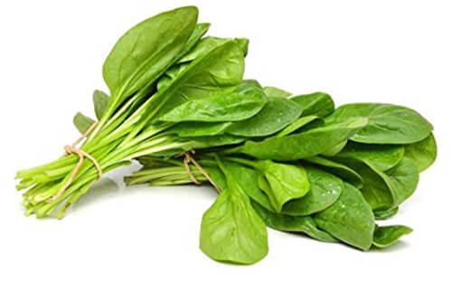 Fresh Green Spinach Leaves