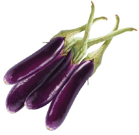 Organic Fresh Long Brinjal, Color : Purple