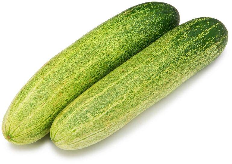 Fresh Natural Cucumber