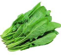 Fresh Natural Spinach Leaves, Color : Green