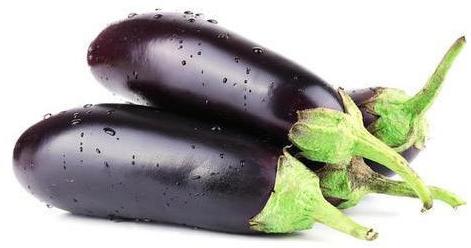Common Fresh Organic Brinjal, Color : Purple
