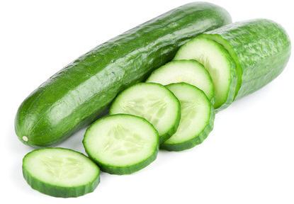 Fresh Organic Cucumber, for Pesticide Free, Packaging Type : Carton Box