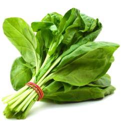 Fresh Organic Spinach Leaves, Color : Green