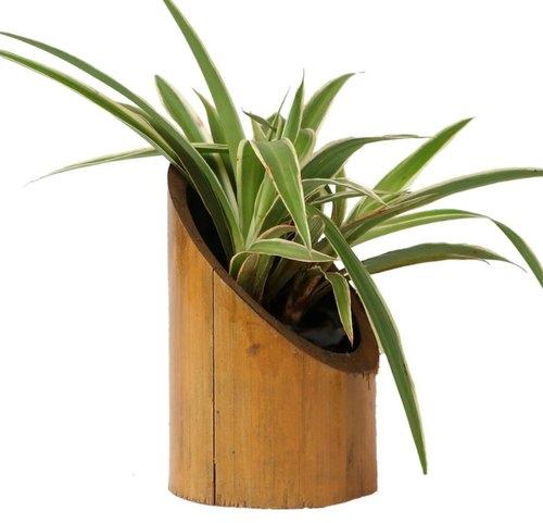 Bamboo flower vase