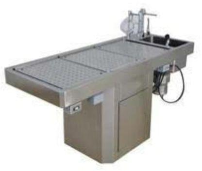 Stainless Steel Autopsy Table, for Hospital