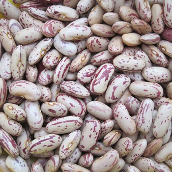 Organic Speckled Kidney Beans, for Cooking, Packaging Size : 1kg, 5kg