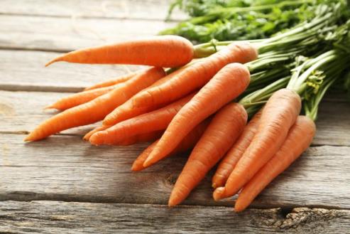 Organic Fresh Carrot, Packaging Type : Jute Sack