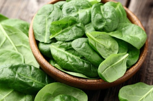 Fresh Spinach, Shelf Life : 5-7 Days