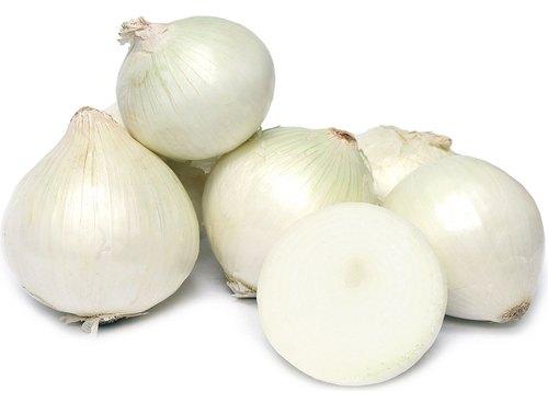 Organic Fresh White Onion, for Cooking, Fast Food, Snacks, Packaging Type : Net Bags