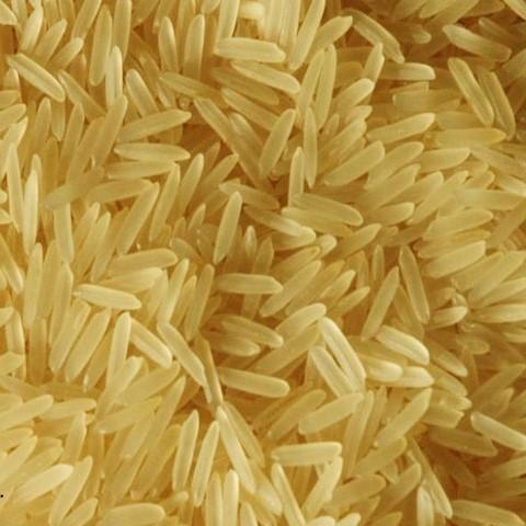 Organic golden sella basmati rice, Shelf Life : 2 Years