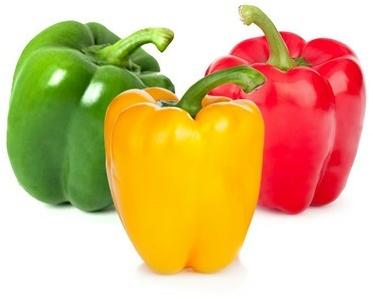 Fresh Capsicum, for Cooking, Style : Natural