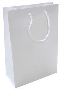 Rectangular 15X32 cm White Paper Bag