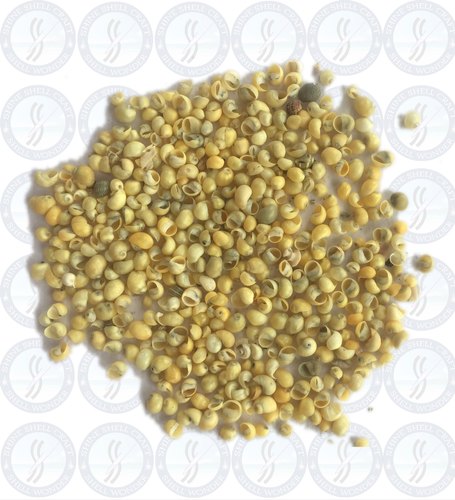 Yellow Pattani Shine Sea Shell, for Jewellery, Feature : Durable, High Quality