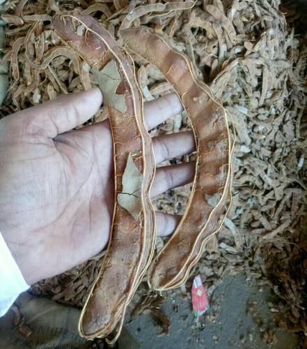 Tamarind, Packaging Type : Packet, Plastic Bag