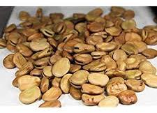 Horse Bean, for Animals Food, Style : Dried, Natural, Raw