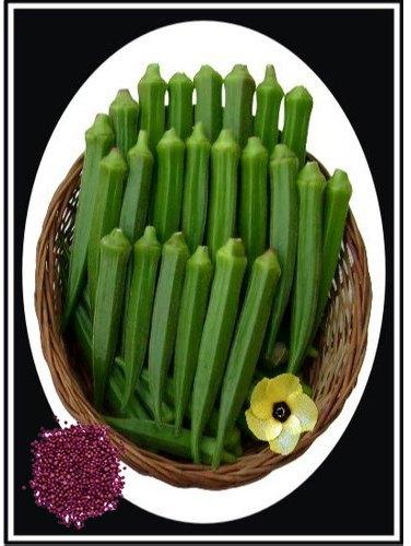 Hybrid Lady Finger Seeds, for Animal Feed, Human Consumption, Style : Dried