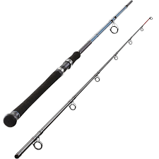buy fishing rod
