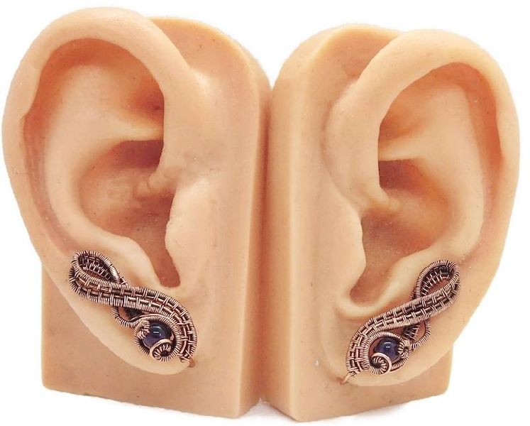 Human Ear Anatomy Model
