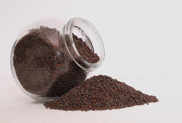 Organic black mustard seeds, Packaging Type : PP Bag