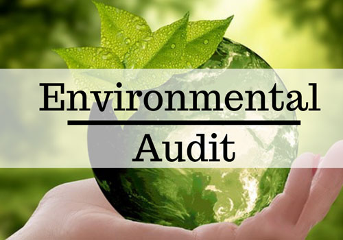 Environmental Audit