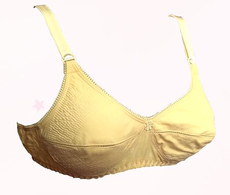 Minimizer Bra For Plus Size, Size : 28, 30, 32, 34, 36, 38, 40, etc.,  Feature : Anti-Wrinkle at Best Price in Ernakulam