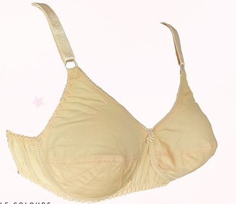 Cotton Plain Ladies Bra, for Daily Wear at best price in Ernakulam