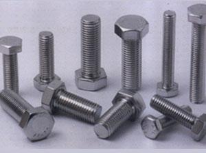 Hastelloy Fastener