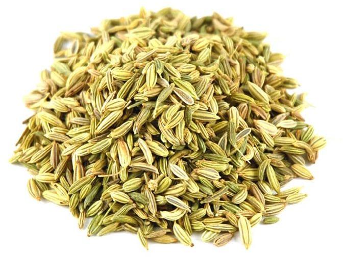 Fennel Seeds, Color : Green