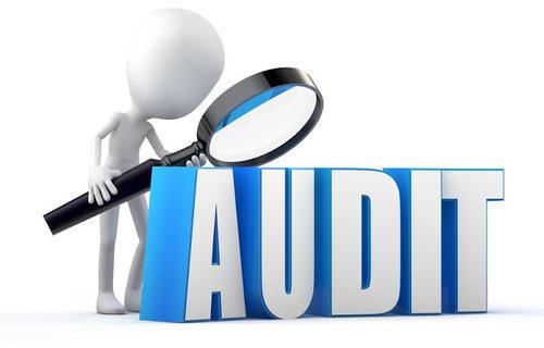 Business Audit Services